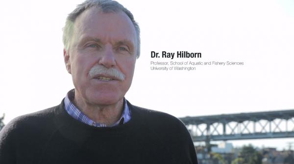 Ray-Hilborn-Studie bestreitet frühere Ergebnisse auf Futterfisch